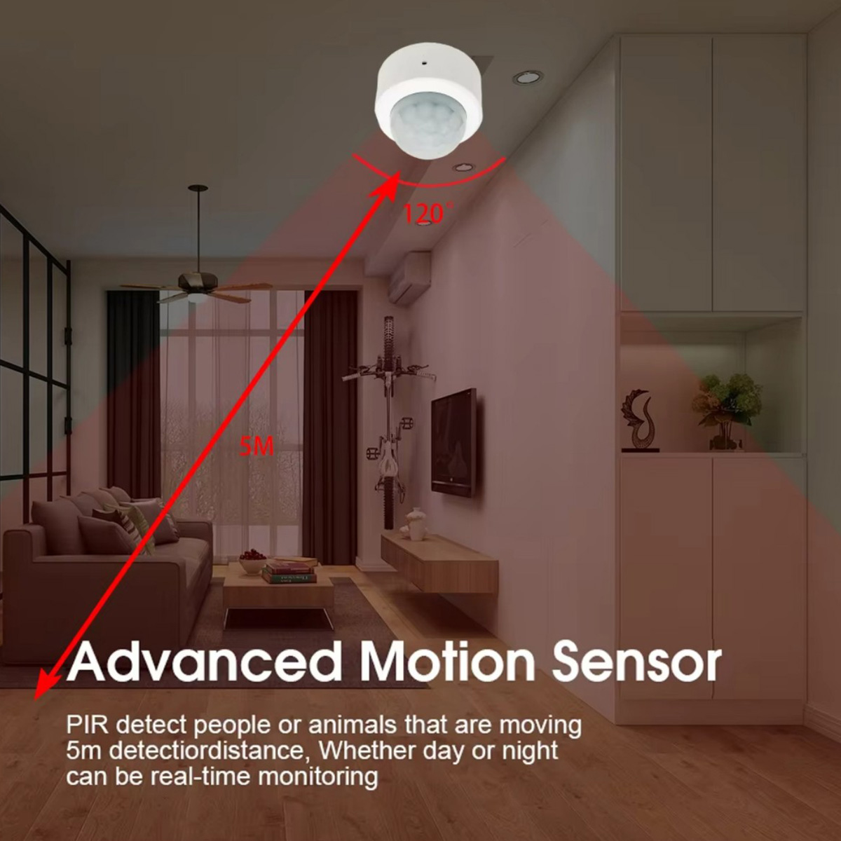 Zigbee PIR Motion Sensor Human - đánh giá và giá Home Security Gadgets