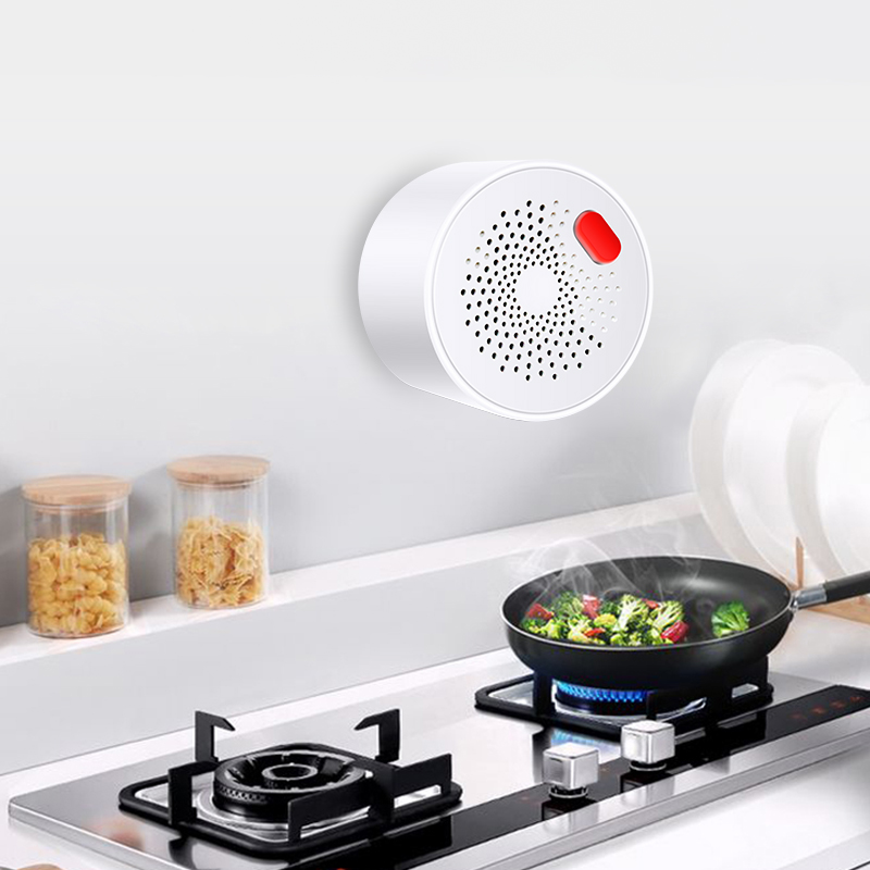 Tuya Smart Home Wifi Natural G - đánh giá và giá Home Security Gadgets