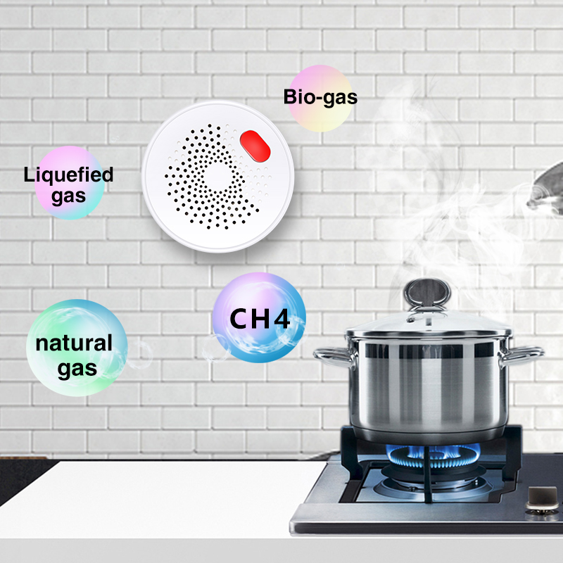 Tuya Smart Home Wifi Natural G - đánh giá và giá Home Security Gadgets