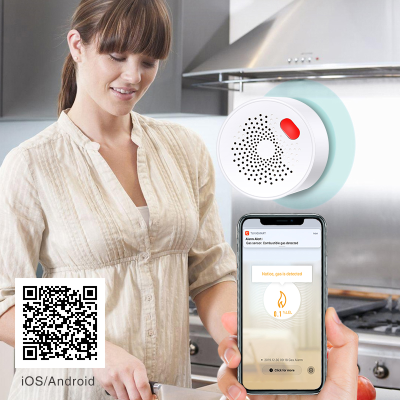 Tuya Smart Home Wifi Natural G - đánh giá và giá Home Security Gadgets